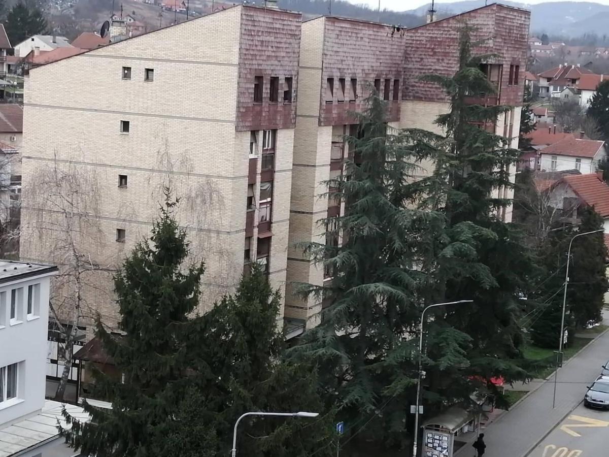Apartman Vesna Banja Koviljača 外观 照片